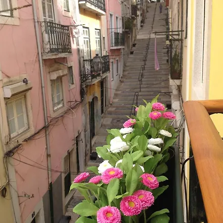 Bica 10 Apartment *